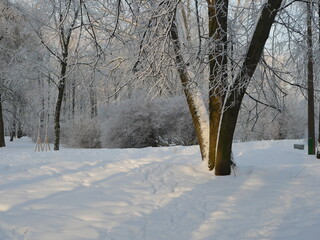 Winter landscape - a snow-covered park with beautiful trees, covered with hoarfrost. A Christmas picture - a winter forest, a sunny day in a fairy-tale park.