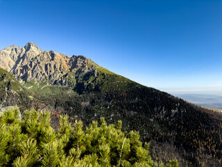 Forest Trail to Sławkowski Peak, Slavkovský Peak