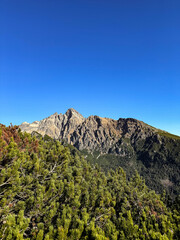rock trail at Slavkovský Peak,forest, mount, view
