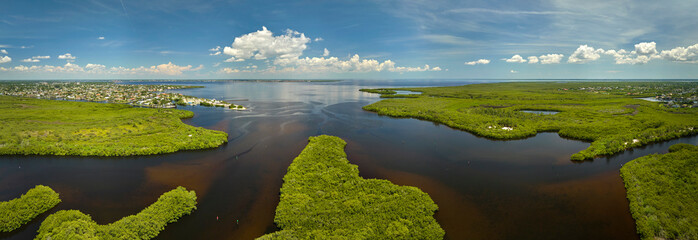 Aerial view of Florida wetlands with green vegetation between ocean water inlets. Natural habitat...