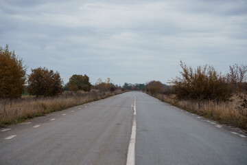 A Serene Autumn Roadway Surrounded by Sparse Foliage Under Overcast Skies