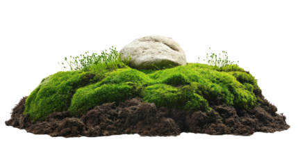 Green moss and grass form a rich carpet around a small, round white stone. Decorative stone sits on soil, surrounded by damp environment. Close-up of mossy growth on isolated transparent background.
