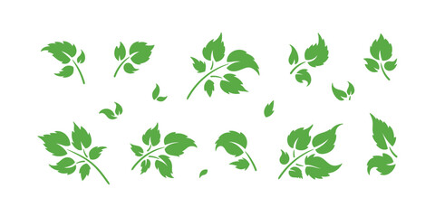 Vector Set of Green Leaf Silhouette. Leaves of Plant and Trees Logo icons. Ecology, Environment, Nature Symbols.