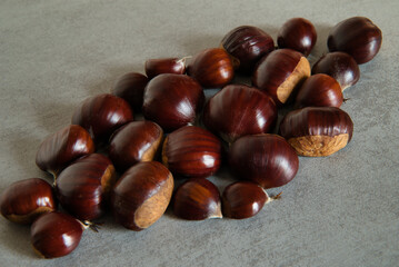 Close-up photograph of a group of freshly picked chestnuts from Navarra-Spain, isolated on a gray background.