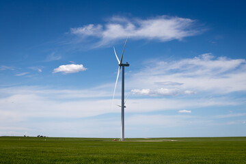 Molinos de viento