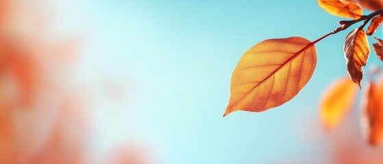 Obraz premium A tight shot of a tree leaf on a branch