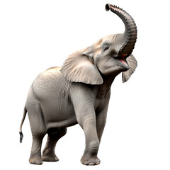 Majestic African Elephant on Transparent Background