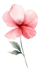Simple and Cute Pink Flower Logo on White Background for Print on Demand T-Shirts Generative AI