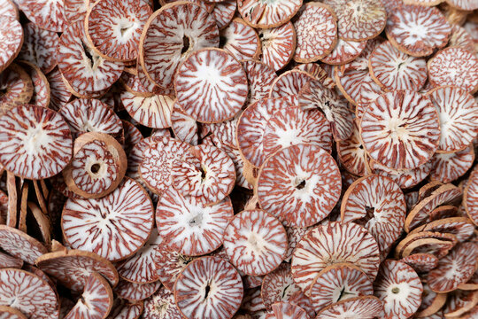 Auf dem Markt in Phuket, Thailand. Hier gibt es viele exotische Fr&uuml;chte und Gew&uuml;rze. Betelnusss, Parkia speciosa zum Verkauf auf dem Stra&szlig;enmarkt es ist beliebter Kautabak-Ersatz in S&uuml;dostasien