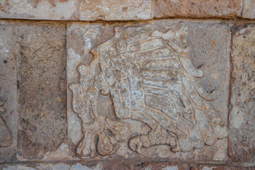 Pre-Hispanic stone engravings with animal figures in the archaeological zone of the pyramids of the Atlanteans, in Tula Hidalgo