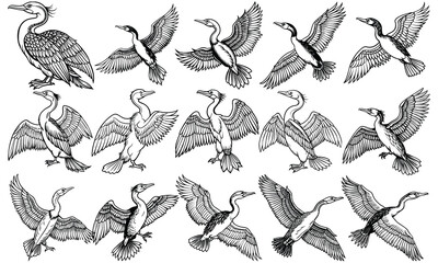 Intricate Cormorant Coloring Page for Adults, with Detailed Line Art for Stress Relief, Perfect for Adult Coloring Books or DIY Art Therapy, High-Quality Printable for Relaxation.