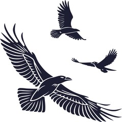 Bird Design ! Fly Birds ! 