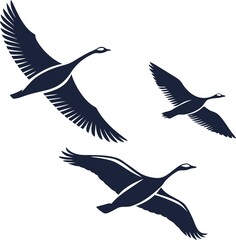 Bird Design ! Fly Birds ! 