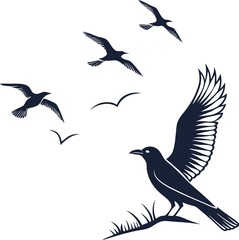 Bird Design ! Fly Birds ! 