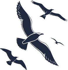 Bird Design ! Fly Birds ! 