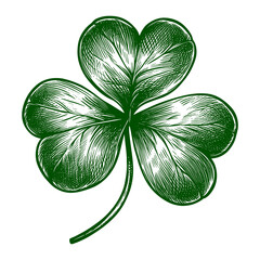 A hand-drawn sketch of a shamrock is presented as a vector illustration