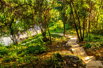 Walking hiking path way road jungle in Vang Vieng Laos.