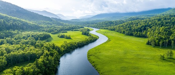 Naklejka premium A river running through a lush green valley surrounded by trees