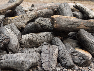 Closeup of burned and blackened tree logs, lying outside on the ground in a pile.