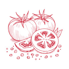 Sketch of a whole tomato and a slice