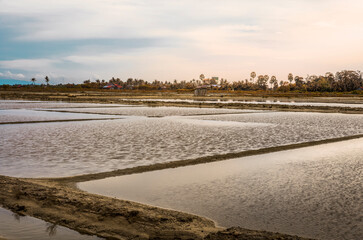 Natural salt fields near Kampot in Cambodia at sunset