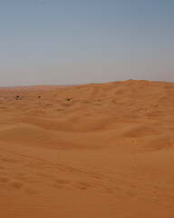 sand dunes in the desert
