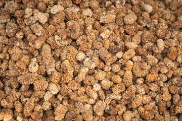 dry mulberry. dried medicinal fruits.