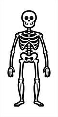 Black Silhouette of Human Full Body Skeleton - Perfect for Medical Illustrations, Anatomy Designs, and Halloween Themes