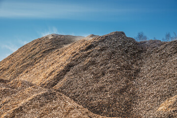 Huge pile of fresh woodchips against the sky.. pile woodchips.