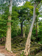 Fototapeta premium Roots, overgrown silk-cotton and strungler fig trees and ruins at the Ta Prohm temple in the Cambodian jungle