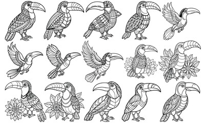 Beautiful Toucan Coloring Page with Detailed Line Art for Adults, Ideal for Stress Relief and Relaxation, Perfect for Adult Coloring Books or Printable Art Therapy, High-Quality Illustration.