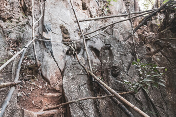 Walking hiking path way road jungle with cliff rocks Laos.