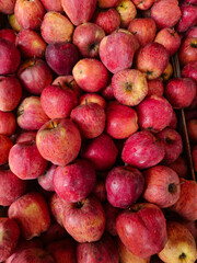 Red Apples food texture Background