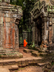 Young buddhist monk at the  ruins of the Ta Prohm temple in the Cambodian jungle
