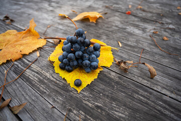 Ripe grapes on autumn leaves on wooden background
