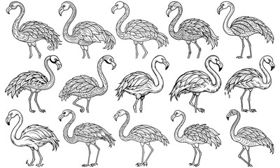 Beautiful Flamingo Coloring Page with Detailed Line Art for Adults, Ideal for Stress Relief and Relaxation, Perfect for Adult Coloring Books or Printable Art Therapy, High-Quality Illustration.