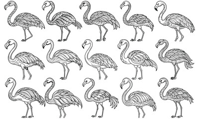 Intricate Flamingo Coloring Page for Adults, Designed for Relaxation and Stress Relief, Perfect for Art Therapy Activities or Adult Coloring Books, High-Quality, Unique Line Art for Enjoyment.