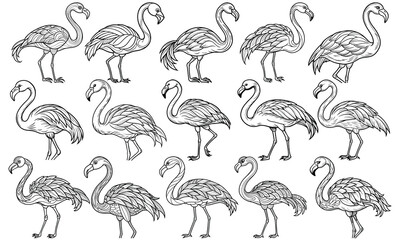 Flamingo Coloring Page for Adults featuring Detailed Line Art Design, Perfect for Relaxation and Stress Relief, Ideal for Adult Coloring Books or Printable Art Therapy Activities, High-Quality Illustr