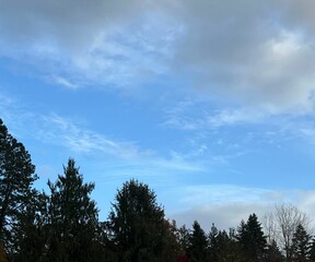 Obraz premium blue sky in the clouds