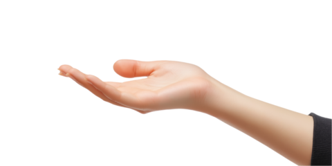 Young woman hand with fingers slightly curled, isolated on light gray background. Hand gesture conveying openness, presentation, and giving. Close-up of human palm, fingers, and arm. Transparent.