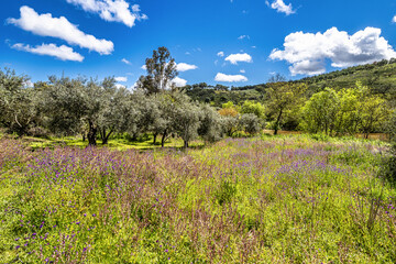 Fototapeta premium Hiking along the river Vascao located near Gioes in the Algarve region in Portugal.