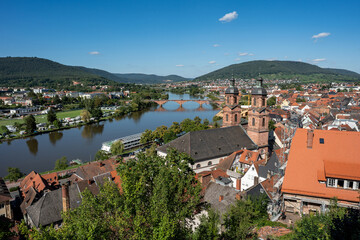 Ausblick auf Miltenberg am Main in Bayern