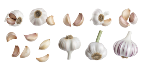 Collection of nine garlic bulbs in 3x3 grid on gray background. Varying sizes, shapes. Largest bulb at top left, smallest at bottom left. Fresh, organic, natural ingredient for cooking, meal, raw