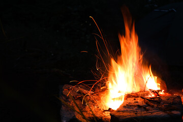 Campfire with beautiful flame in forest at night, space for text