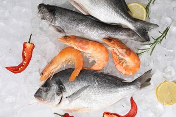 Fresh raw sea food and products on ice cubes, flat lay