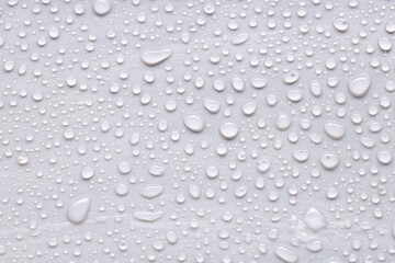 Water drops on light gray background, top view