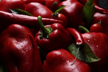 Many red peppers and tomatoes as background, closeup