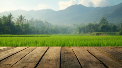 A wooden table for displaying agricultural products with a rice field or rice background