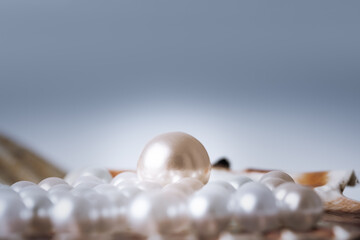 The beauty of white pearls in the shell, is an amazing combination of nature and elegance in every luster and shape