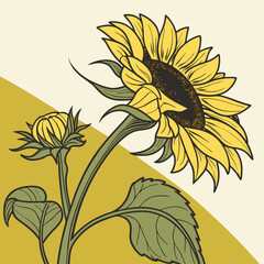 illustration of sunflower